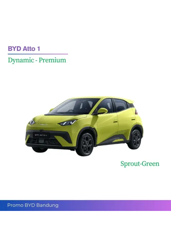 BYD Atto 1