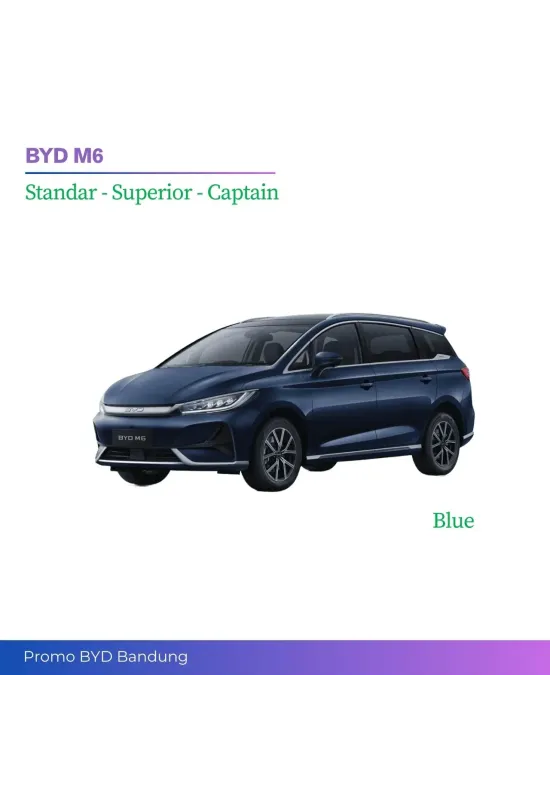 BYD M6