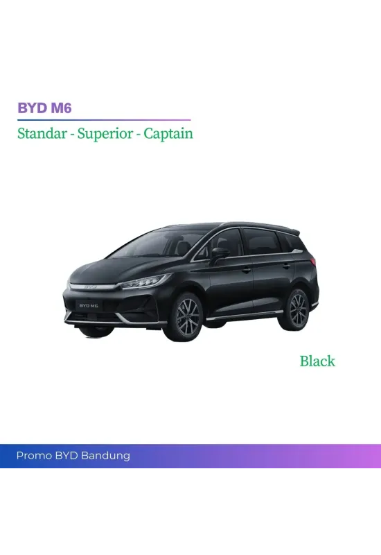 BYD M6