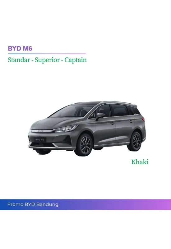 BYD M6